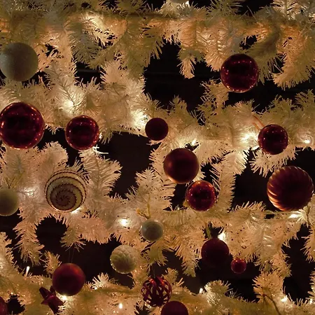 Rose Cosy Tiny With Shared Rooftop Terrace And Jacuzzi Mk2